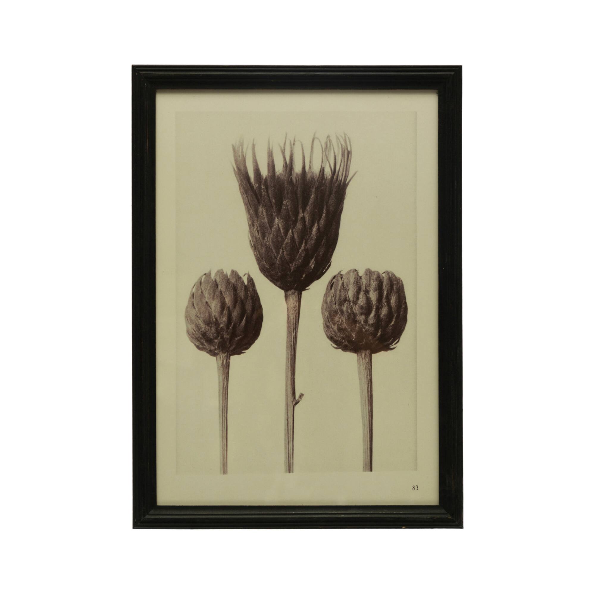 Hello Honey® Artichoke Print Wall Art with Glass Cover